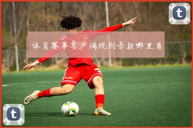 体育赛事客户端规则条款哪里看