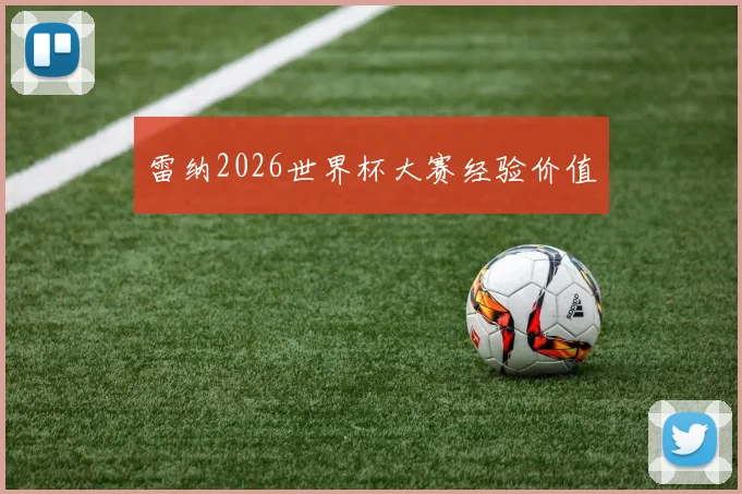 雷纳2026世界杯大赛经验价值