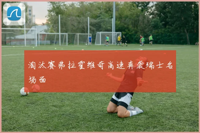 淘汰赛弗拉霍维奇高速奔袭瑞士名场面