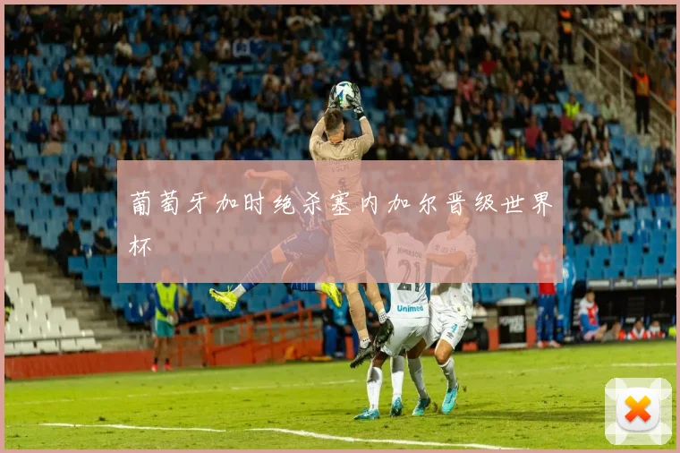 葡萄牙加时绝杀塞内加尔晋级世界杯