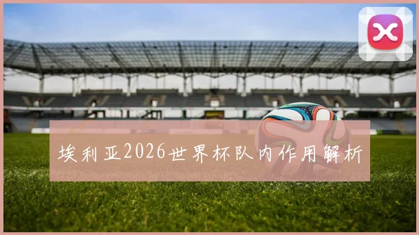 埃利亚2026世界杯队内作用解析