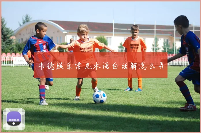 韦德娱乐常见术语白话解怎么弄