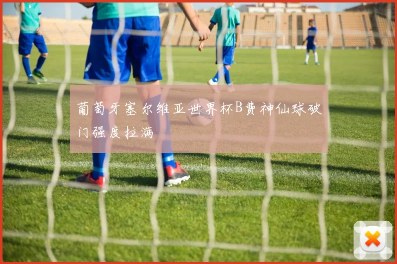 葡萄牙塞尔维亚世界杯B费神仙球破门强度拉满