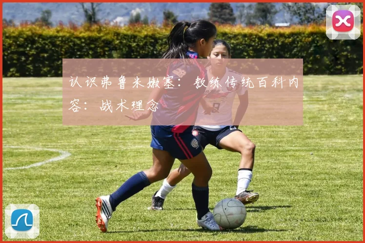 认识弗鲁米嫩塞：教练传统百科内容：战术理念