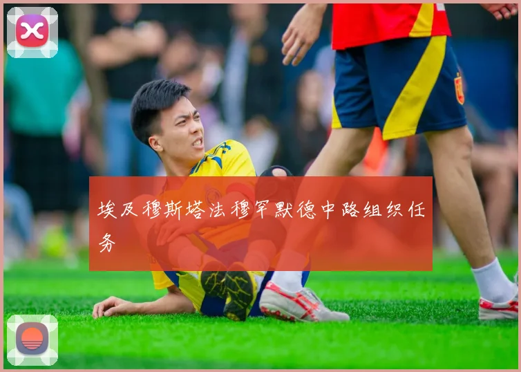 埃及穆斯塔法穆罕默德中路组织任务
