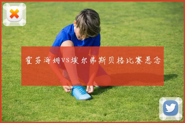 霍芬海姆vs埃尔弗斯贝格比赛悬念