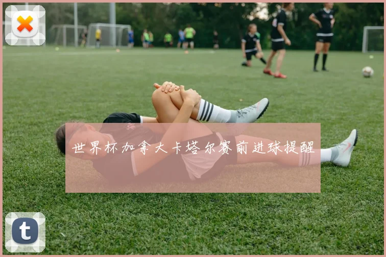 世界杯加拿大卡塔尔赛前进球提醒