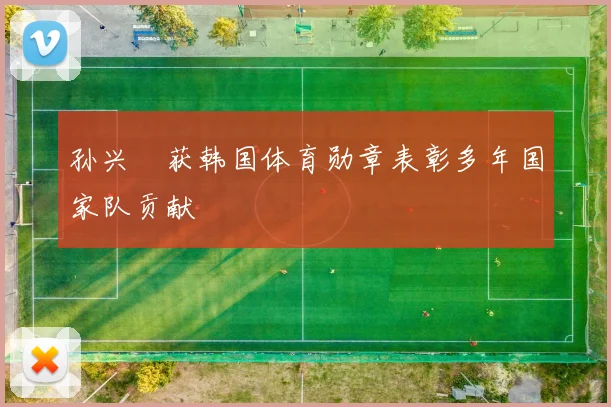 孙兴慜获韩国体育勋章表彰多年国家队贡献