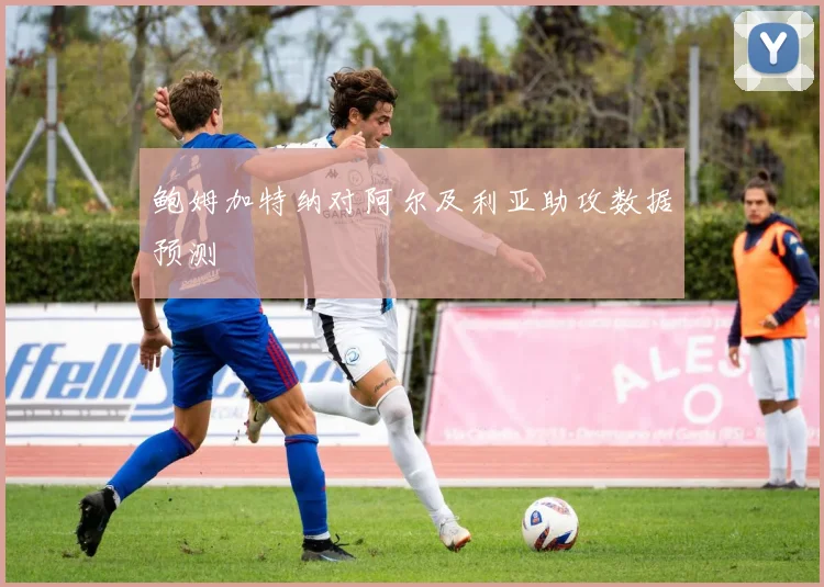 鲍姆加特纳对阿尔及利亚助攻数据预测